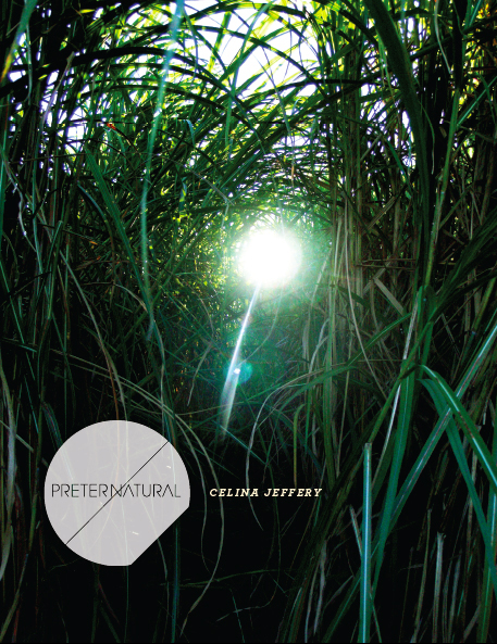 Catalogue cover : Anne Katrine Senstad; The Sugarcane Labyrinth (2009-11)